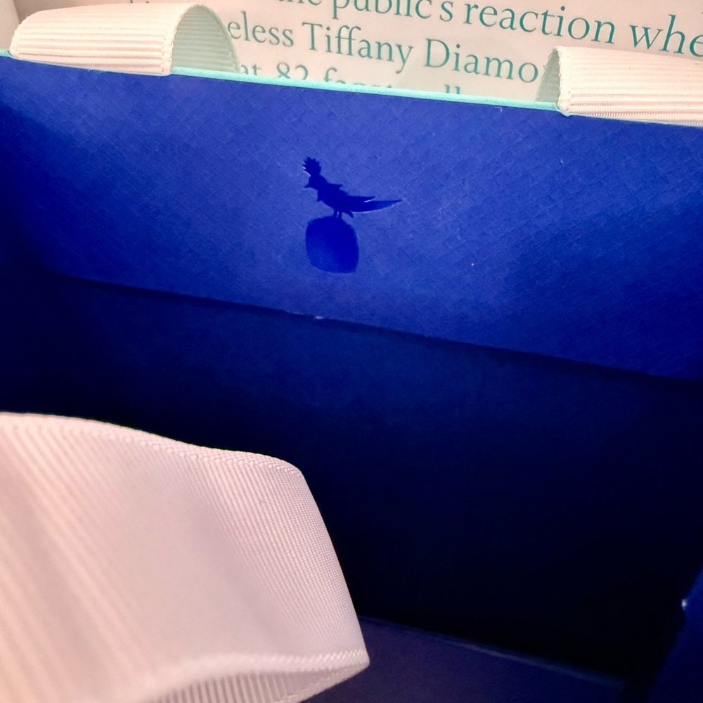Tiffany & Co. Bird on a Rock Ornament Bag Charm Novelty Limited Edition Blue Bag - Picture 5 of 6